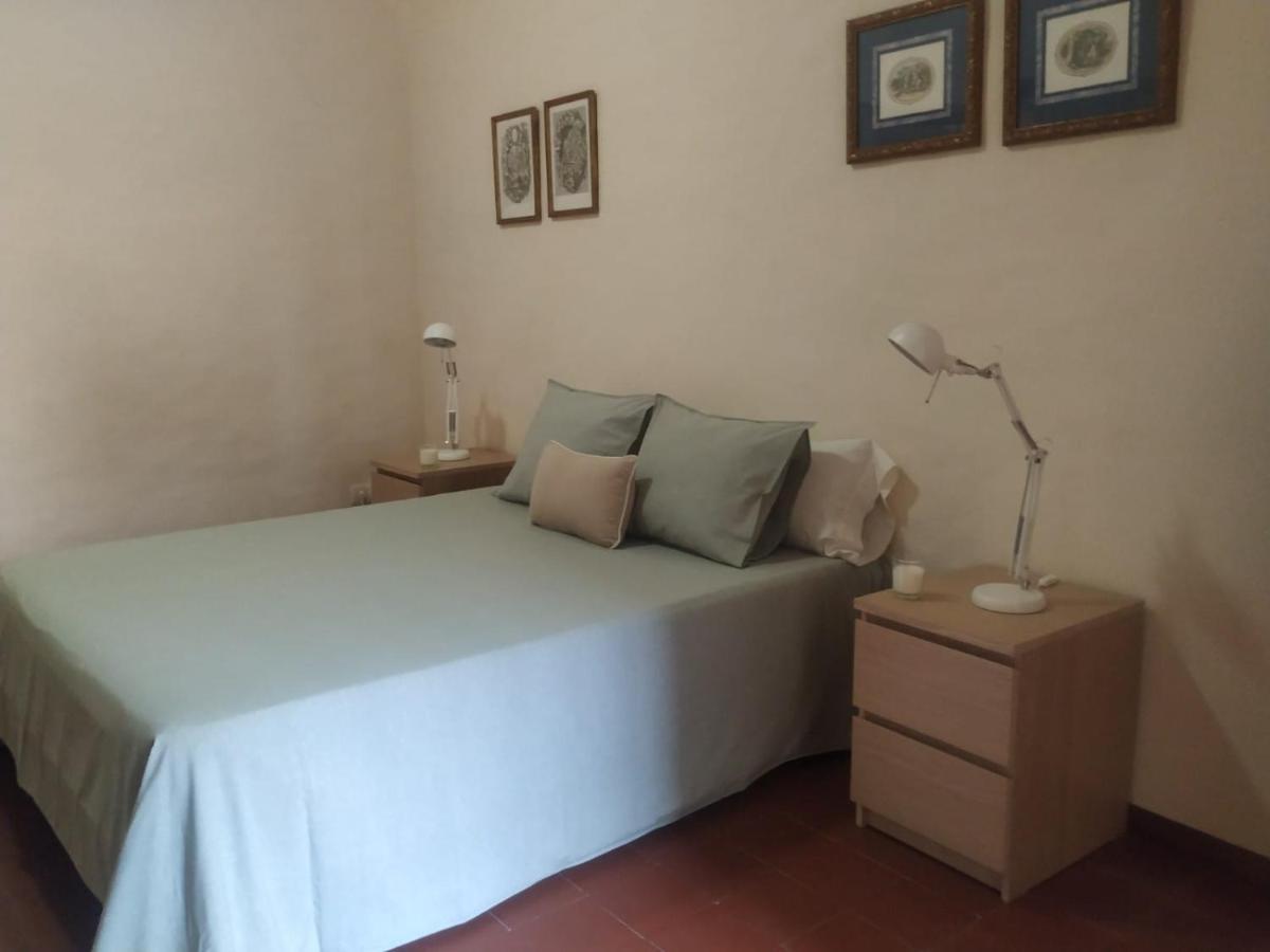 Alfacs Apartment Sant Carles De La Rapita Ngoại thất bức ảnh