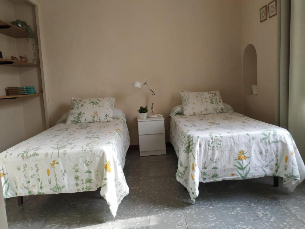 Alfacs Apartment Sant Carles De La Rapita Ngoại thất bức ảnh