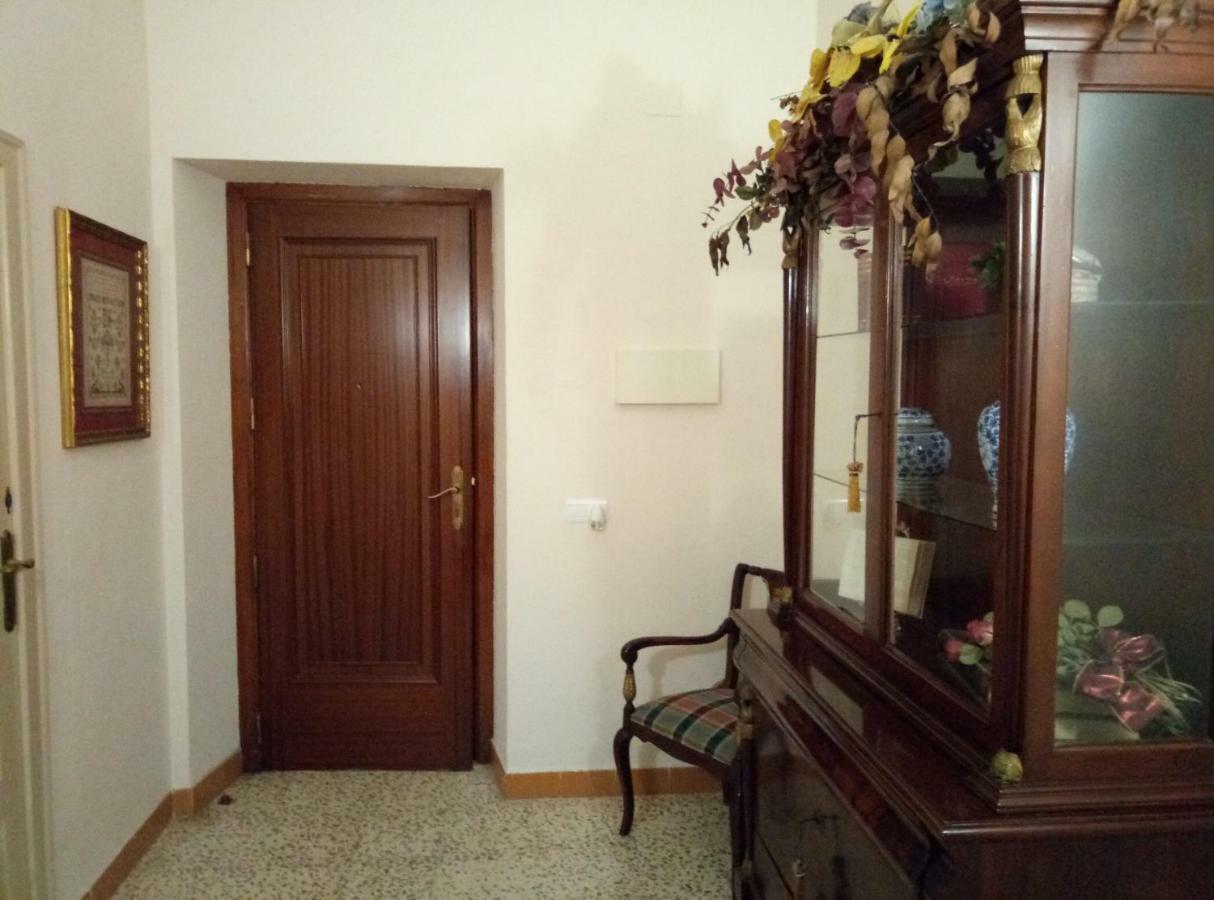 Alfacs Apartment Sant Carles De La Rapita Ngoại thất bức ảnh